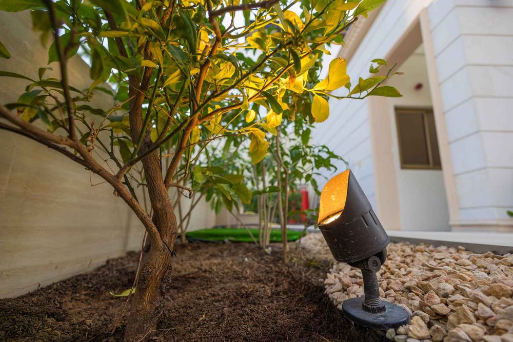 Product Image w-[300px]