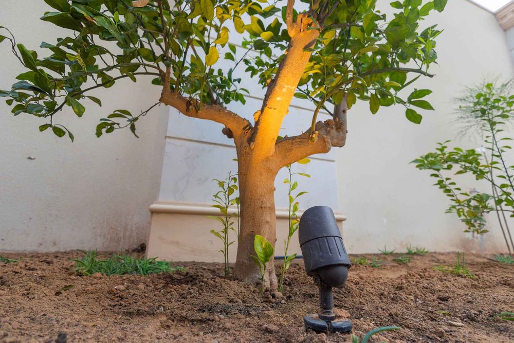 Product Image w-[300px]