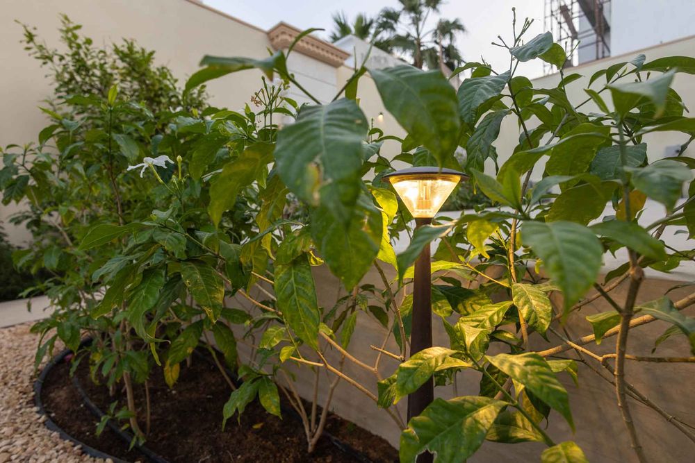 Product Image w-[300px]