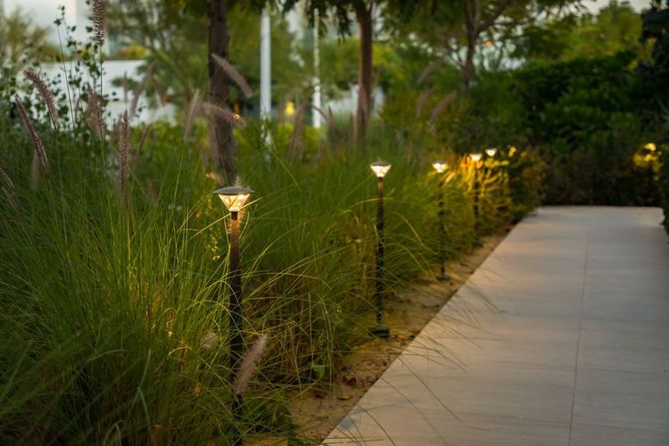 صورة المنتج