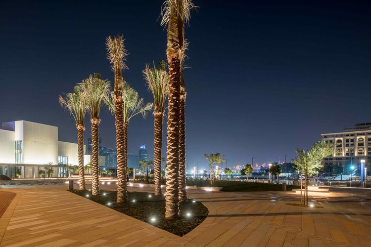 صورة المنتج