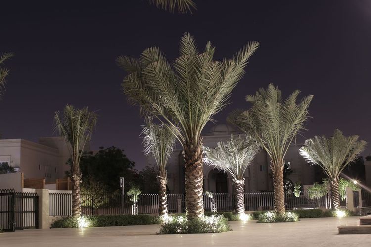 صورة المنتج
