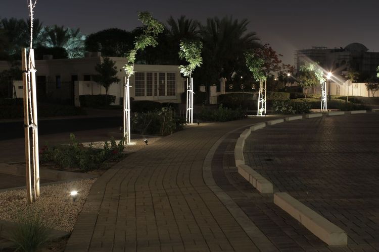 صورة المنتج