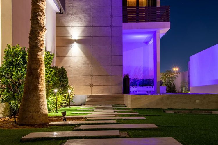 صورة المنتج