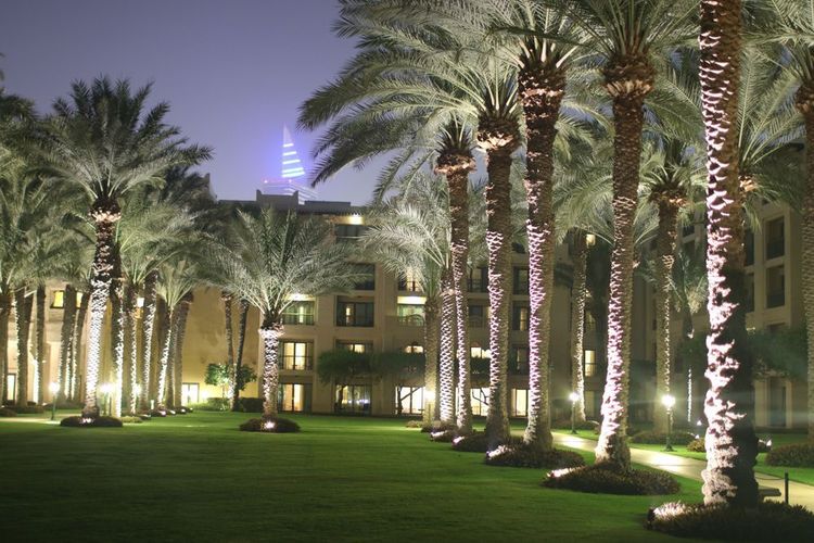 صورة المنتج