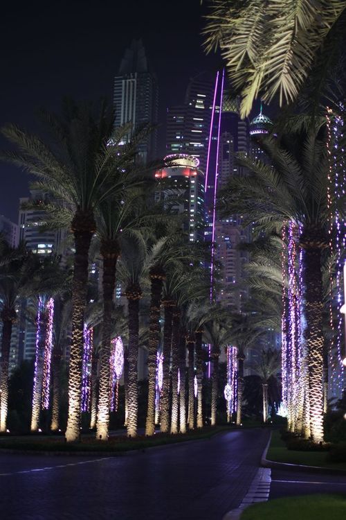 صورة المنتج