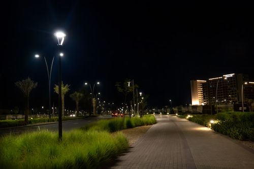 P1003854-Edit.jpg