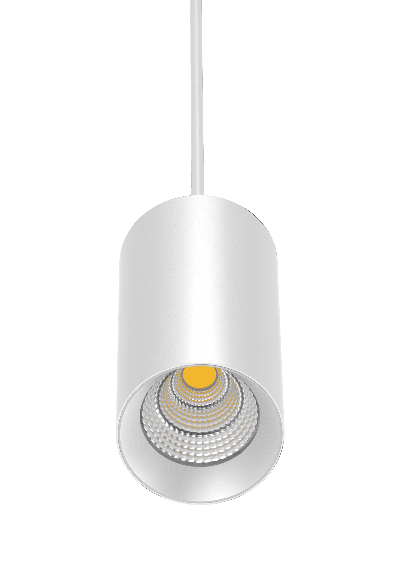 SHAMA - PL110362